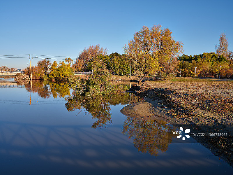 《深秋的湿地晨光》图片素材