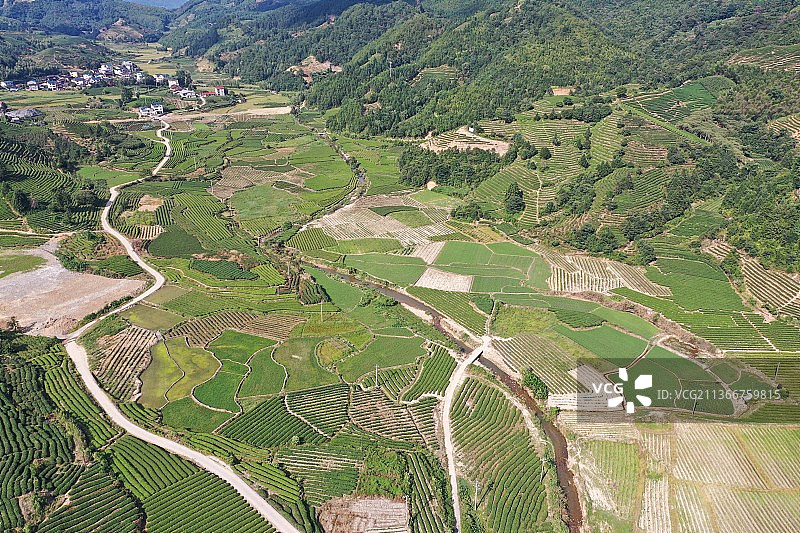 武夷街道村落航拍图片素材