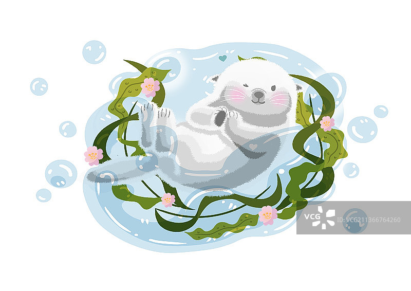 海獭宝宝图片素材