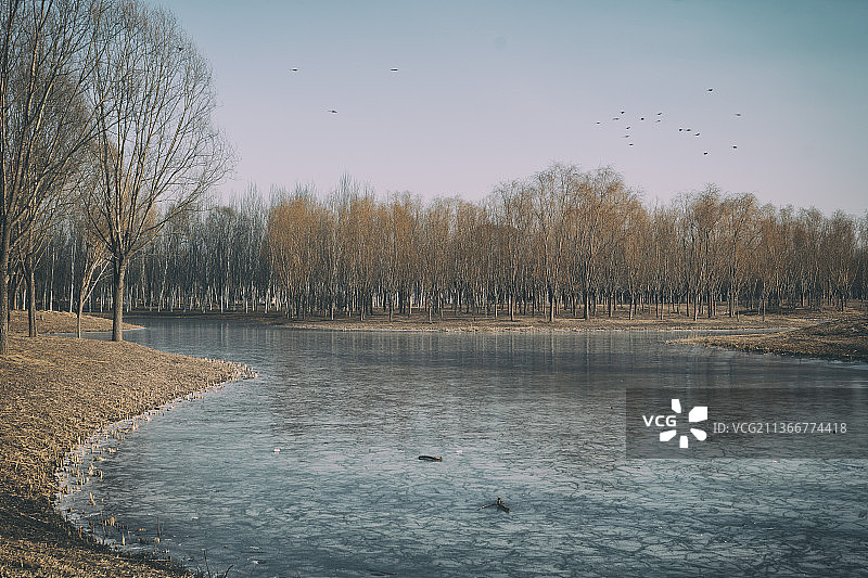 北京东郊湿地公园图片素材