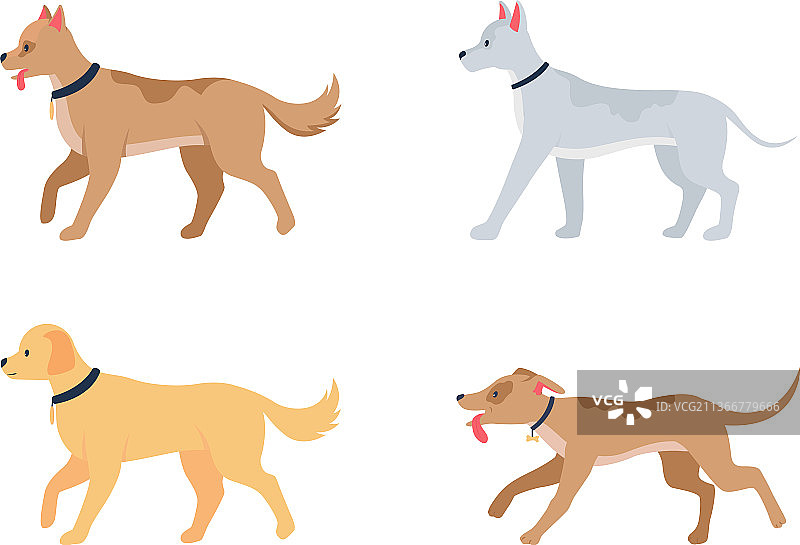 各种犬种扁平风格角色图片素材