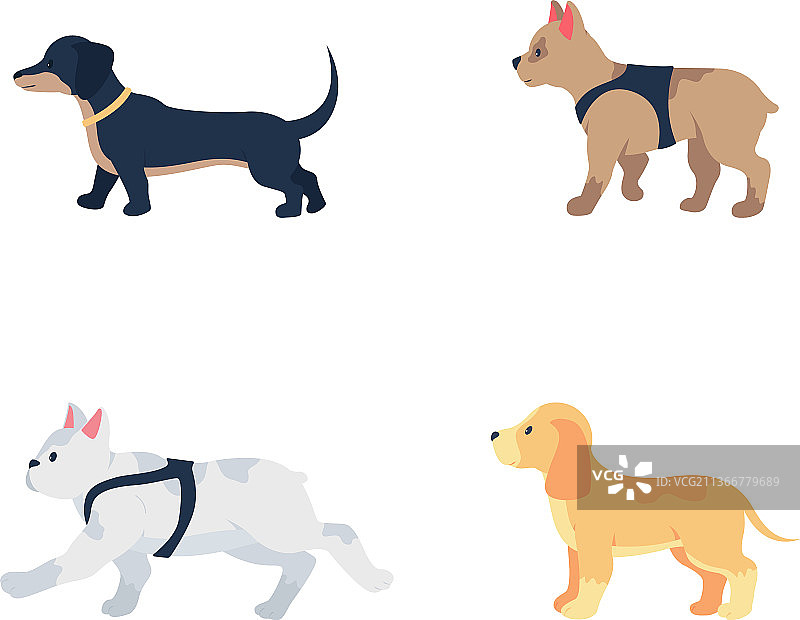 不同品种的狗扁平风格彩色矢量素材图片素材