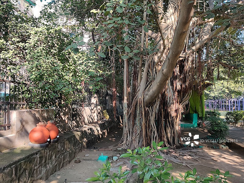 在变暖的世界中提供免费饮用水的土制水罐图片素材