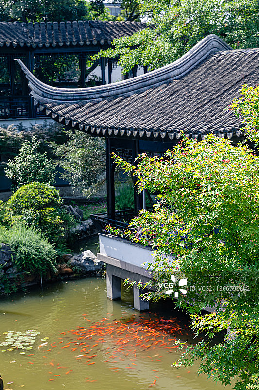 江苏苏州木渎古镇古松园图片素材