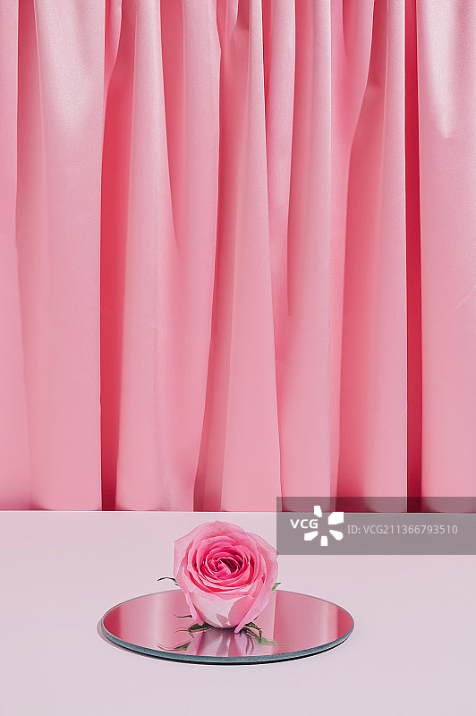 浪漫粉色玫瑰花组合图片素材