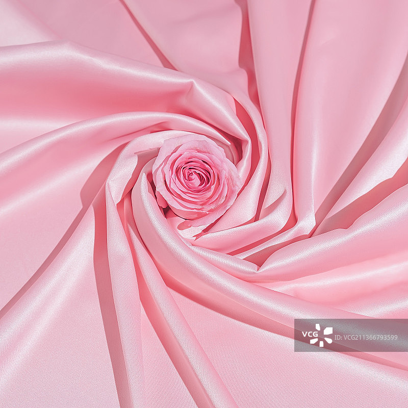 粉色浪漫漩涡与玫瑰和缎带图片素材