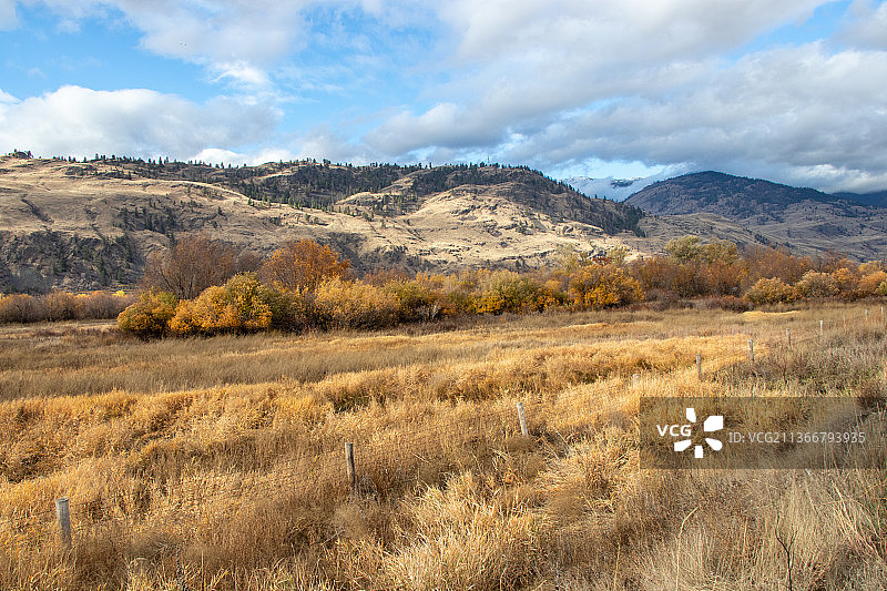 加拿大不列颠哥伦比亚省奥利弗市奥卡纳干山谷的田野里的干草图片素材