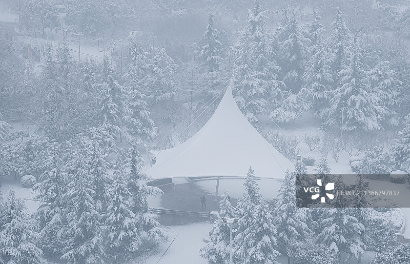 雪雾中的公园图片素材