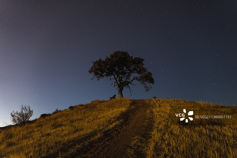 西班牙夜空下的田野风光图片素材