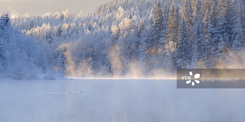 冬季湖泊森林风景图片素材