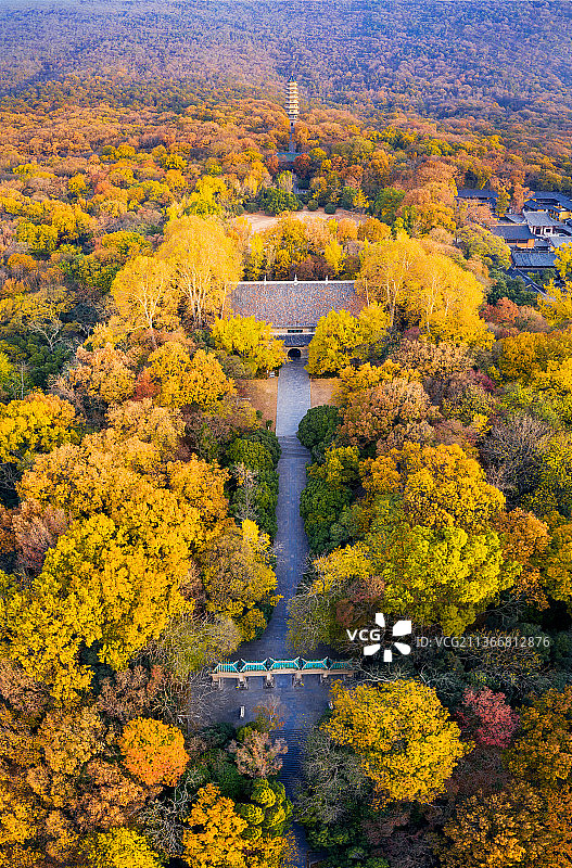 灵谷寺的秋天图片素材