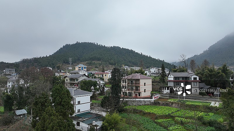 贵州省遵义市汇川区团泽镇，村民房前屋后的油菜和各种时令蔬菜却长势良好，一派绿意盎然、生机勃勃的景象图片素材