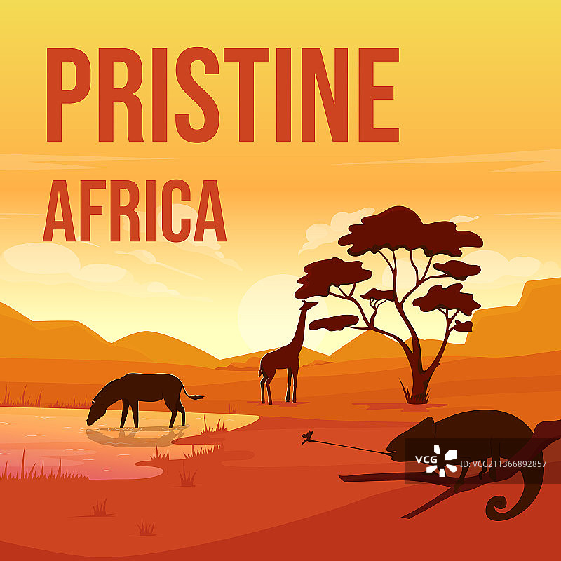 野生动物保护社交媒体帖子样机图片素材