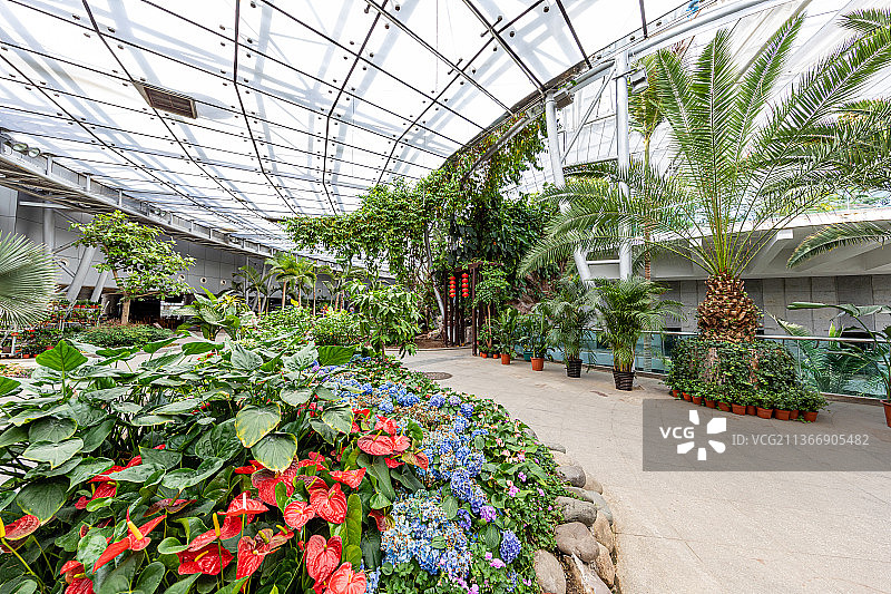 北京植物园图片素材
