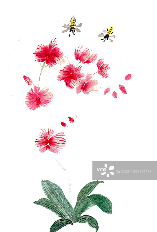 红花与蜜蜂图片素材