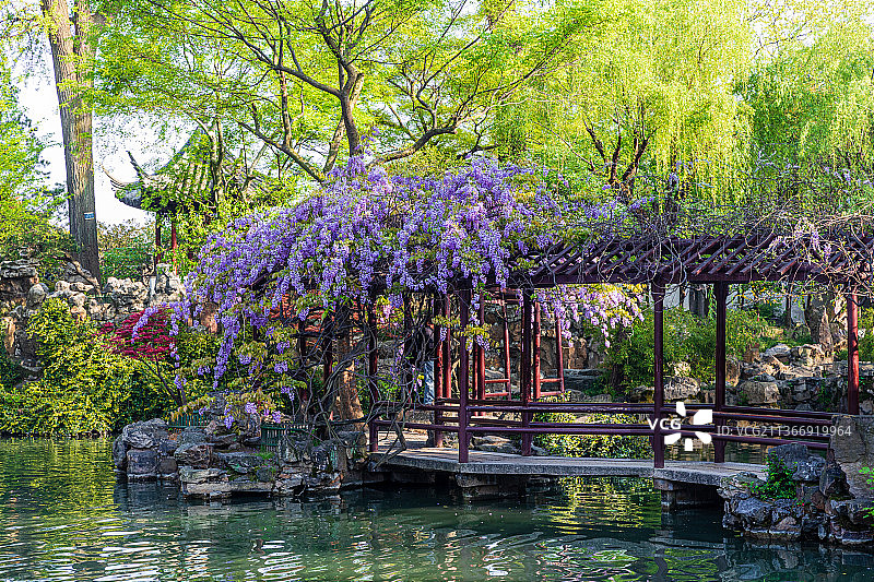 江苏苏州留园春季风光图片素材