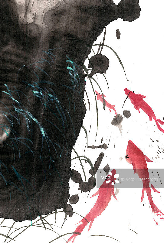 石头下的金鱼图片素材