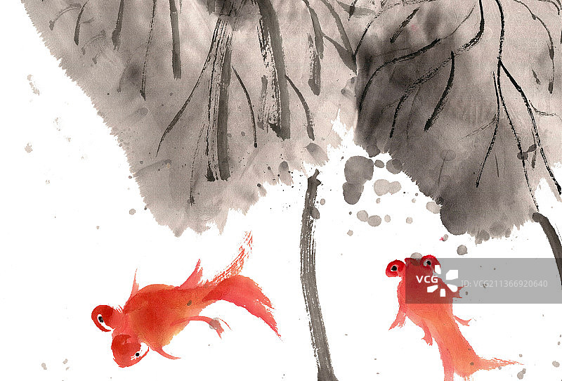 荷下的金鱼图片素材