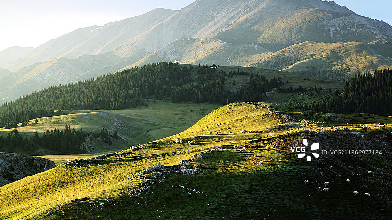 新疆伊犁赛里木湖图片素材