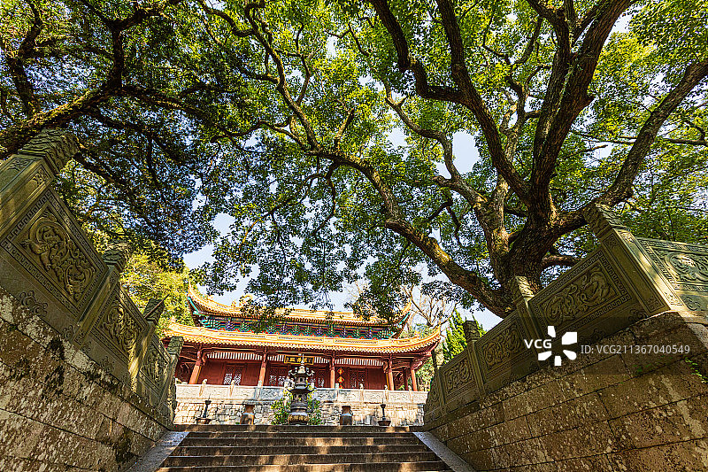浙江舟山普陀山风光图片素材