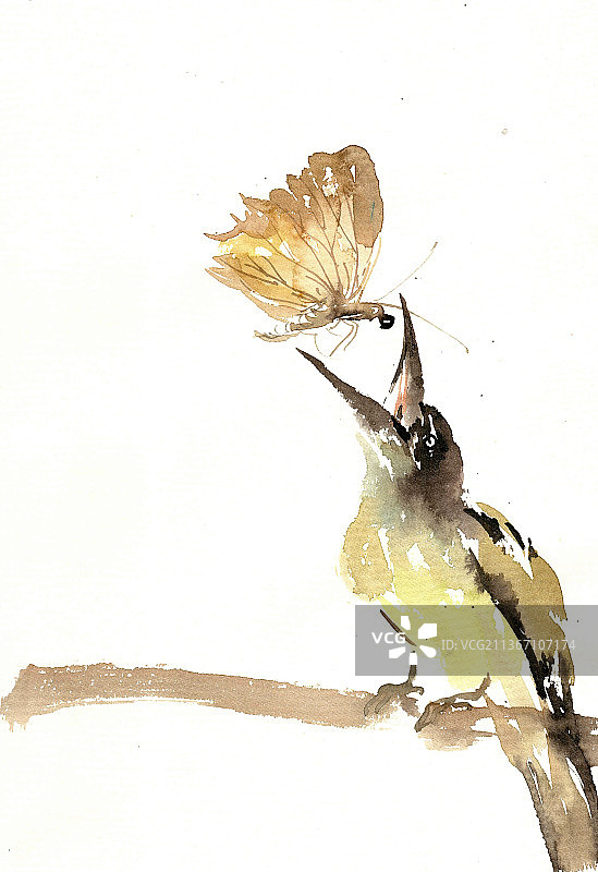 捕蝴蝶的小鸟图片素材