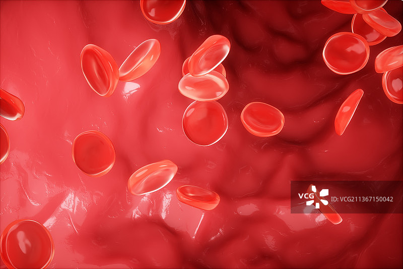 3D渲染的血管图片素材