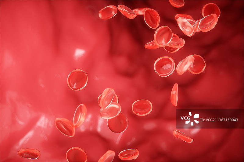 3D渲染的血管图片素材