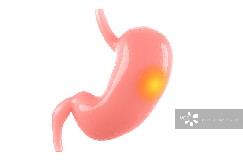 3D渲染的人体胃部结构图片素材