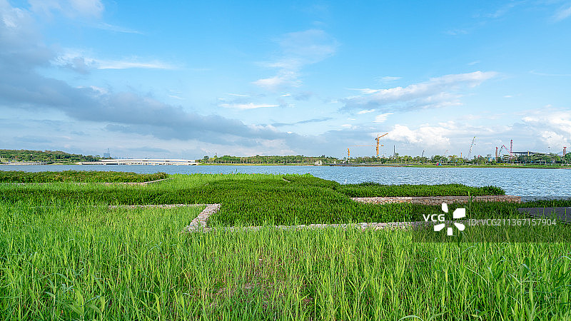 深圳湾公园城市景观图片素材