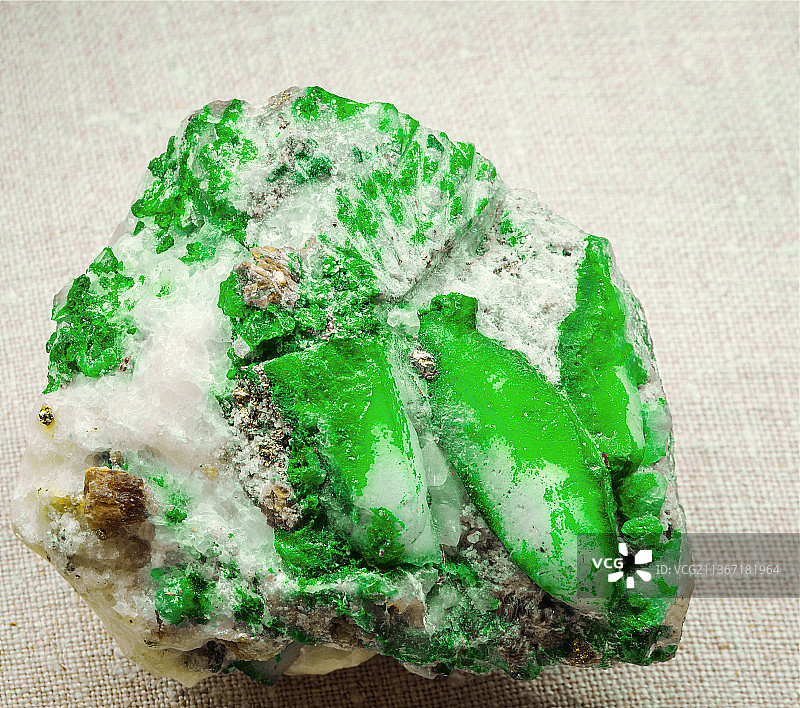 俯视：桌面上的西兰花图片素材