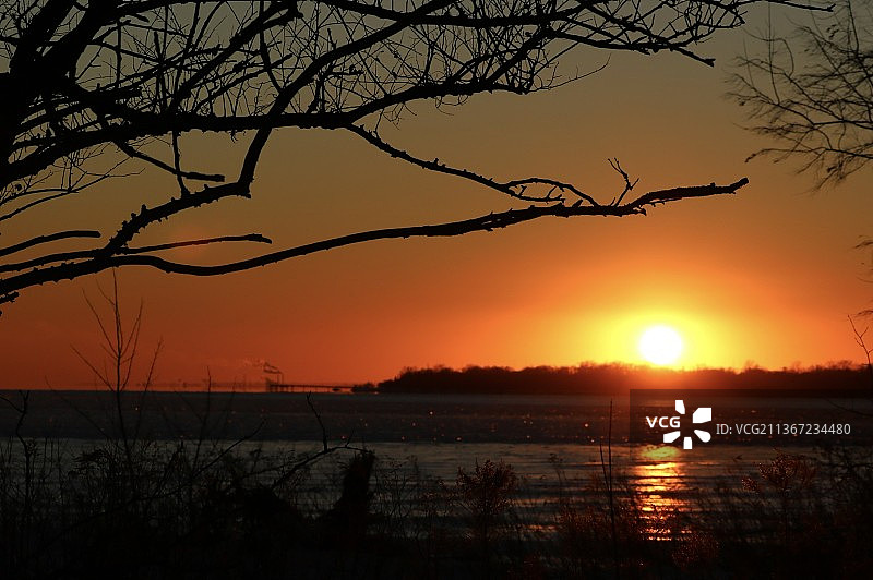 日落时分，湖边光秃秃的树在天空下的剪影图片素材