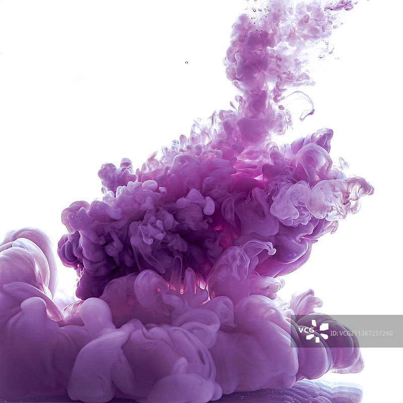 紫色抽象，白色背景上的粉色花朵特写图片素材