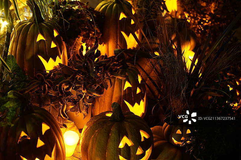 万圣节南瓜灯特写摄影图片素材