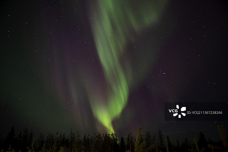 芬兰佩洛夜空中的北极光低角度景象图片素材