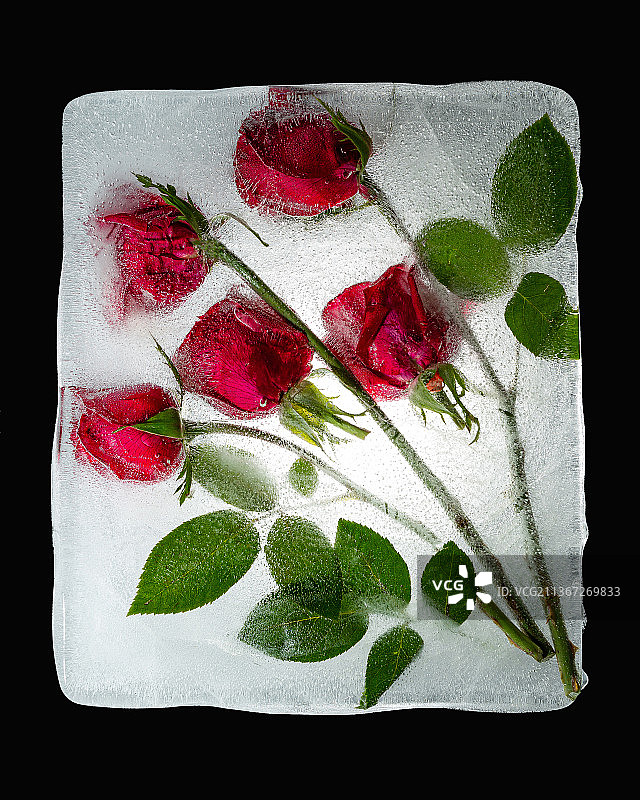 冰冻鲜花图片素材