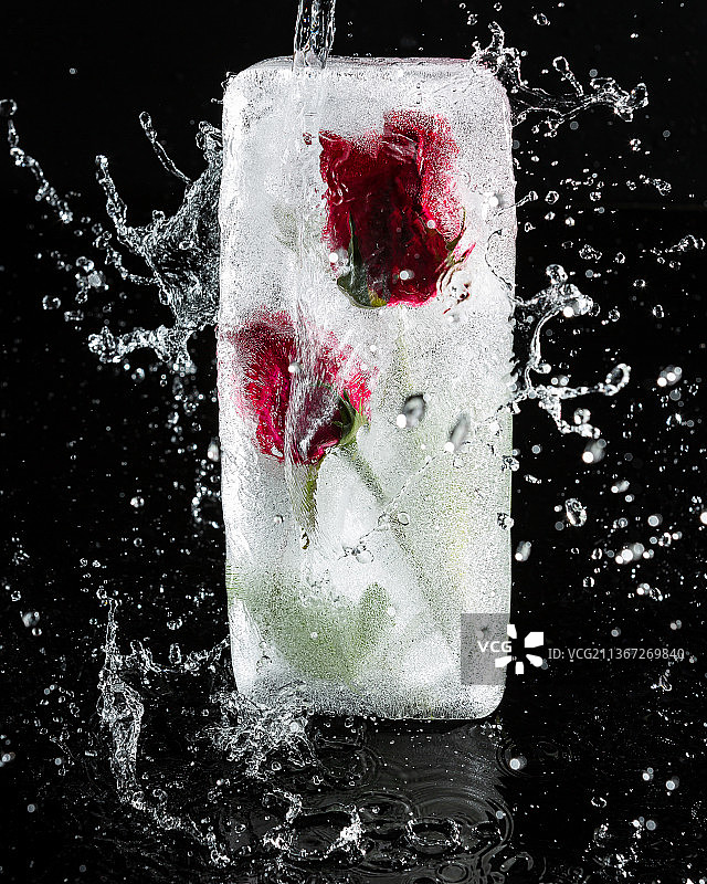 冰冻鲜花图片素材