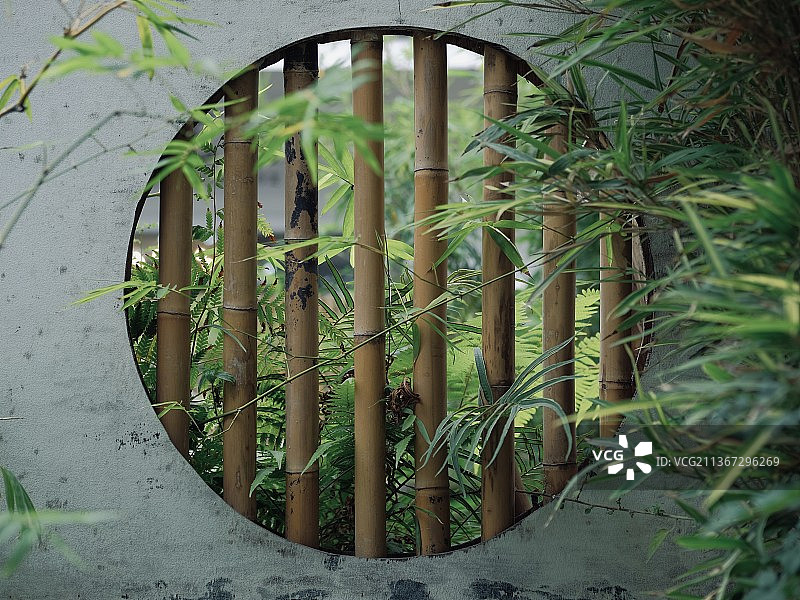 竹园图片素材