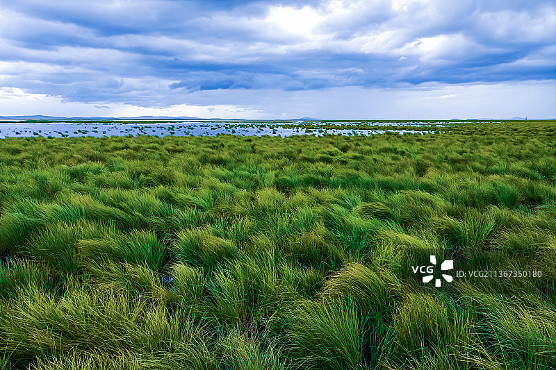 2021年7月27日，四川阿坝若尔盖大草原花湖风景区，天空阴云下的湿地草原。图片素材