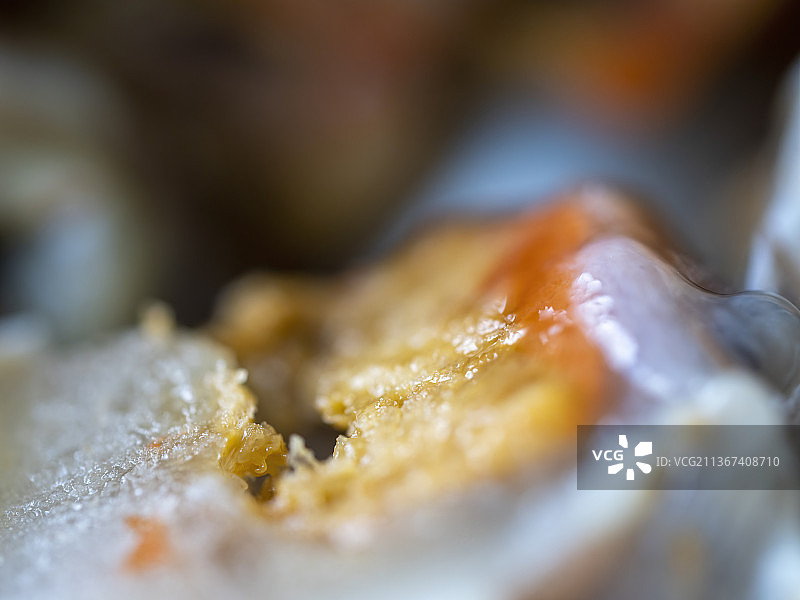 中国东南沿海传统美食炝蟹的特写图片素材
