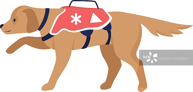 雪崩救援犬半扁平颜色角色图片素材