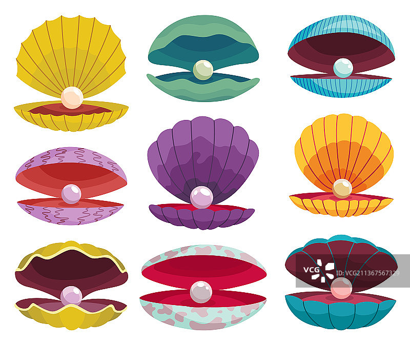 海贝中的珍珠图片素材