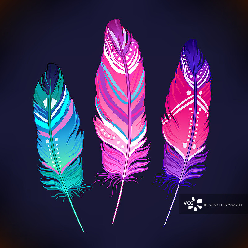 手绘鸟类羽毛图案图片素材