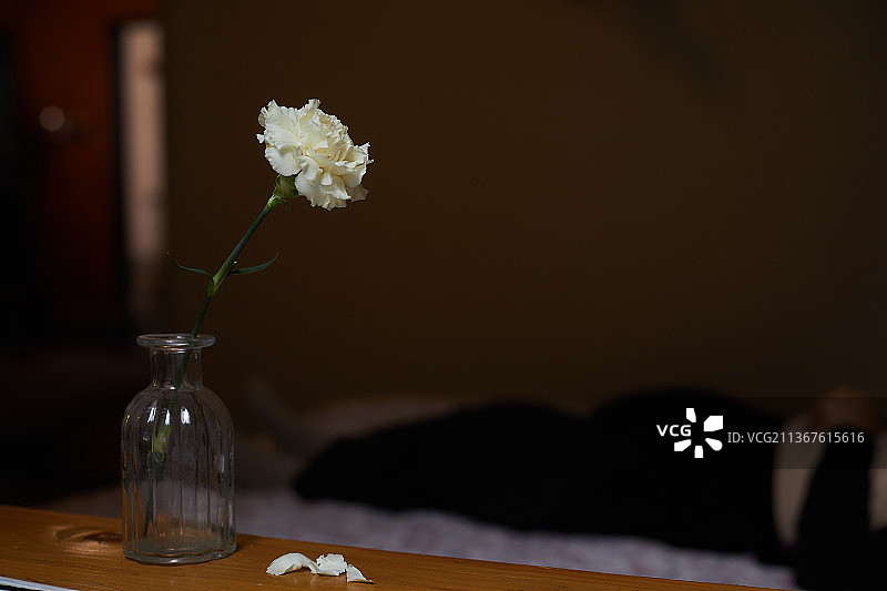 弱势群体，独居老人，孤独死亡，孤独图片素材