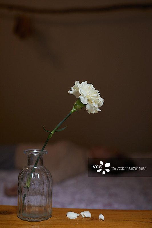 弱势群体，独居老人，孤独死亡，孤独图片素材