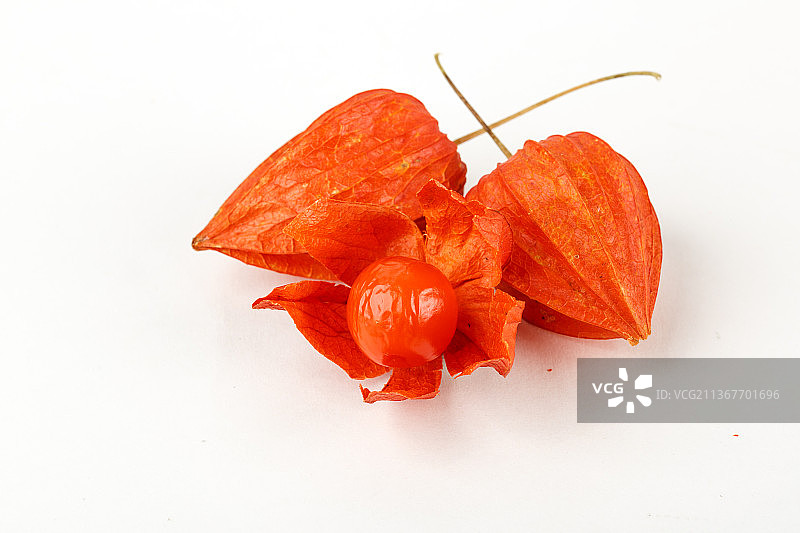 红姑娘果和剥开的果实图片素材