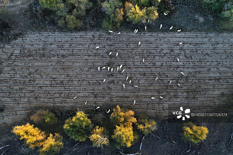 奈曼旗图片素材