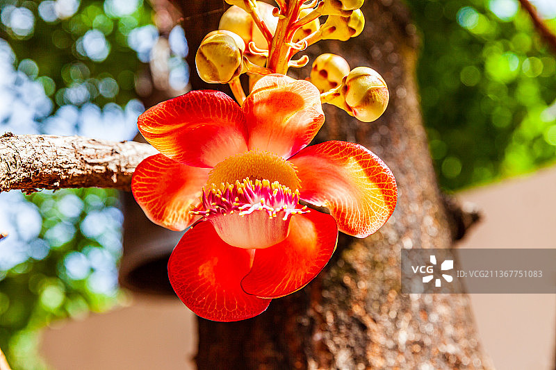 泰国清迈城市风光图片素材