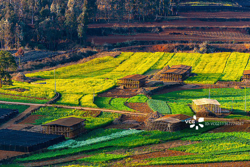 云南文山普者黑田园风光图片素材