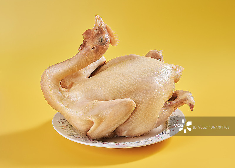 年菜白斩鸡图片素材