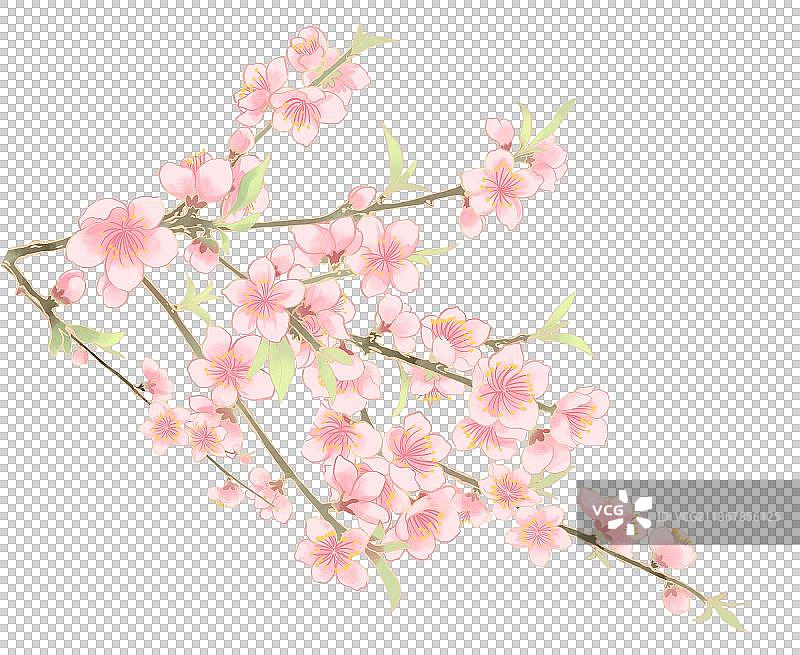 春天三月盛开的桃花国潮插画图片素材